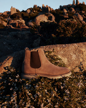 Canyon Taupe Suede Chelsea Boots