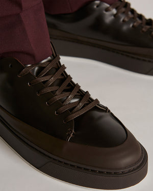 Odin Ace Dark Brown Sneakers
